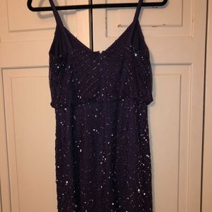 Purple with Silver Sequined Dress